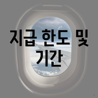지급 한도 및 기간