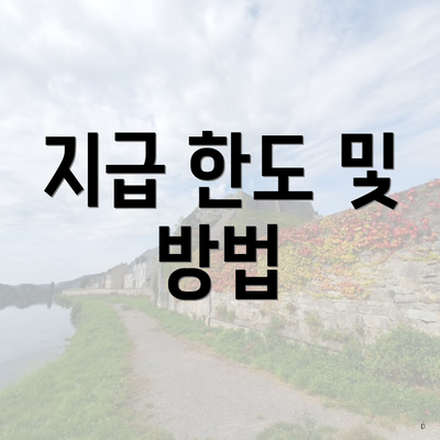 지급 한도 및 방법
