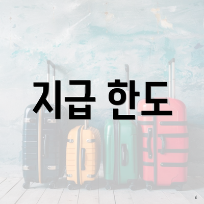 지급 한도