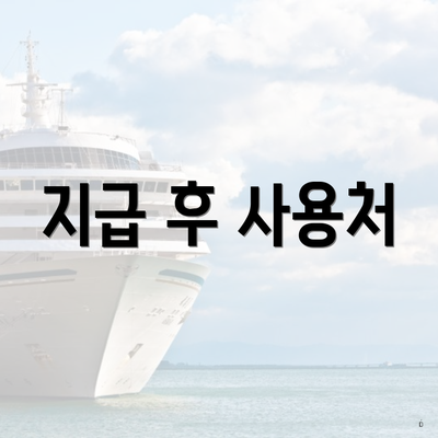 지급 후 사용처