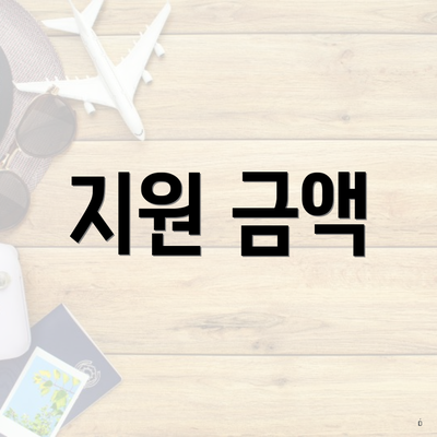 지원 금액