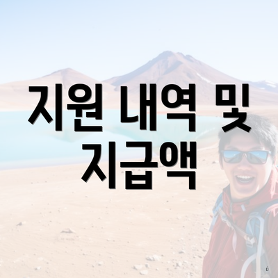 지원 내역 및 지급액