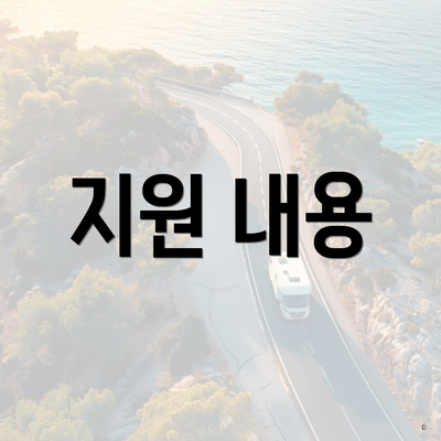 지원 내용