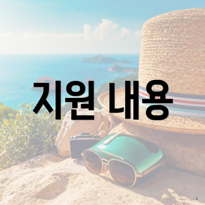지원 내용
