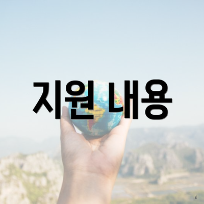지원 내용