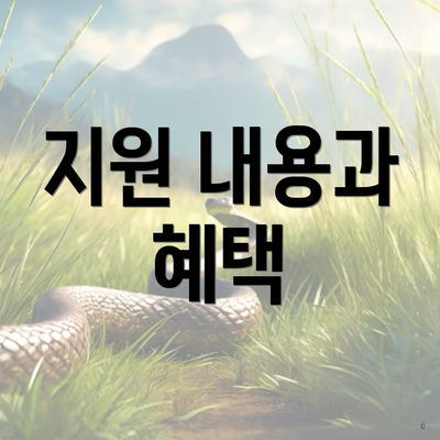 지원 내용과 혜택