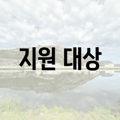 지원 대상