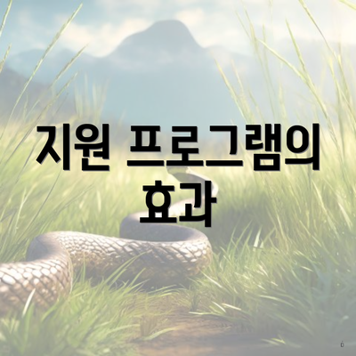 지원 프로그램의 효과
