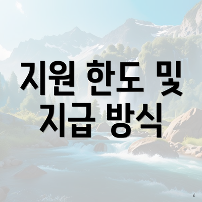 지원 한도 및 지급 방식