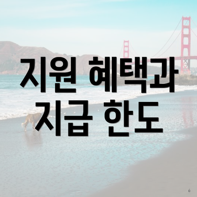 지원 혜택과 지급 한도