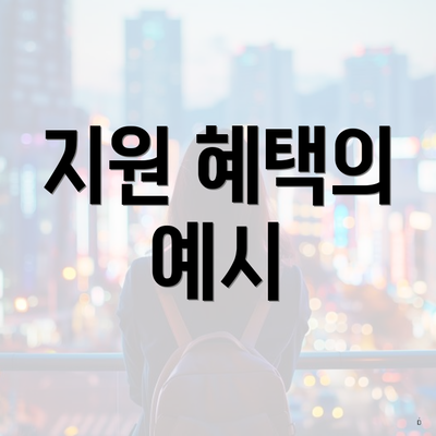 지원 혜택의 예시