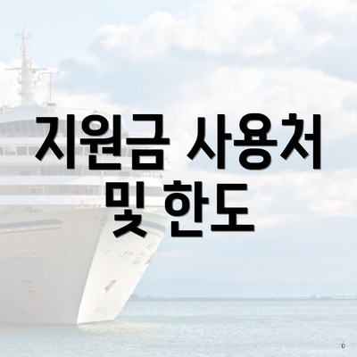 지원금 사용처 및 한도
