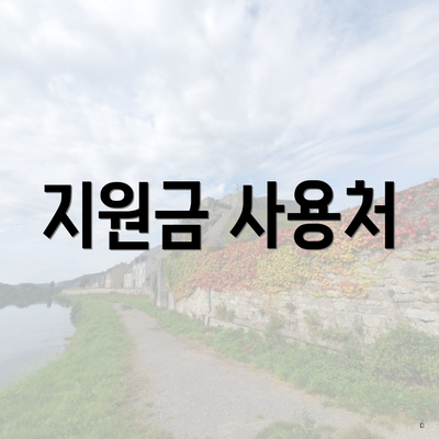 지원금 사용처