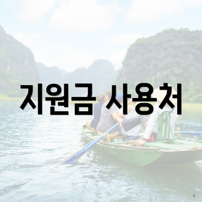 지원금 사용처