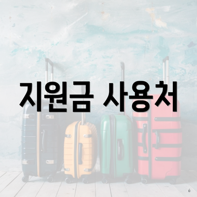 지원금 사용처