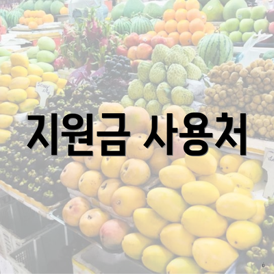 지원금 사용처