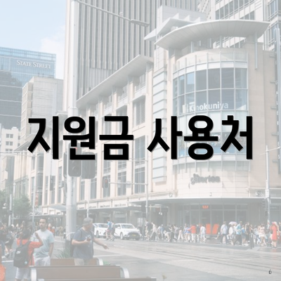 지원금 사용처