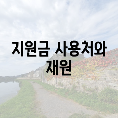 지원금 사용처와 재원