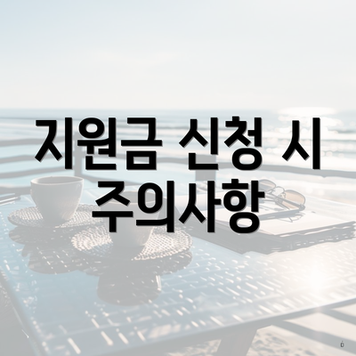 지원금 신청 시 주의사항