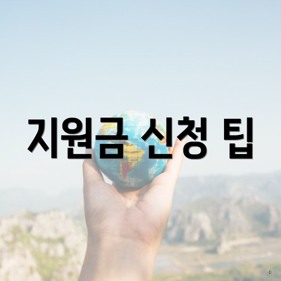 지원금 신청 팁