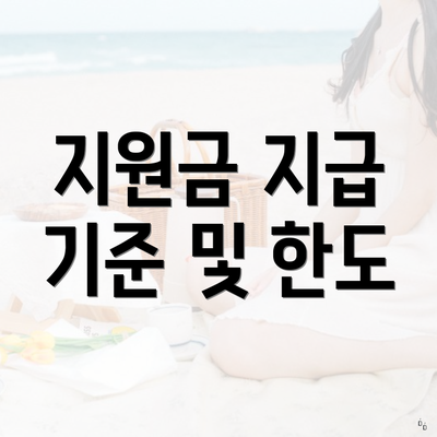 지원금 지급 기준 및 한도