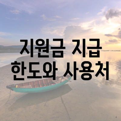 지원금 지급 한도와 사용처
