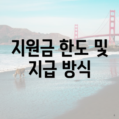 지원금 한도 및 지급 방식