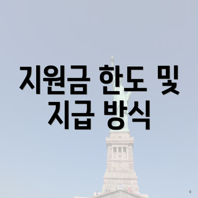 지원금 한도 및 지급 방식