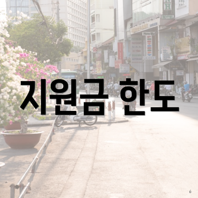 지원금 한도