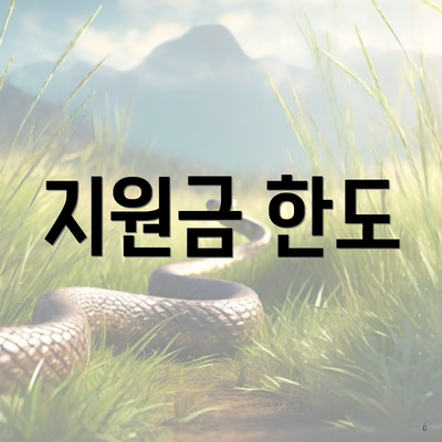 지원금 한도
