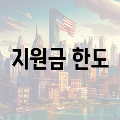 지원금 한도