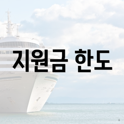 지원금 한도