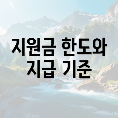 지원금 한도와 지급 기준
