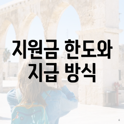지원금 한도와 지급 방식