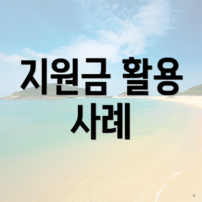 지원금 활용 사례