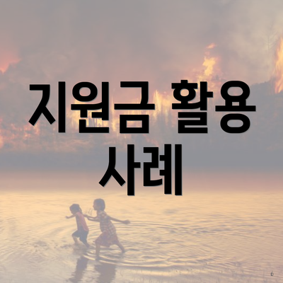 지원금 활용 사례