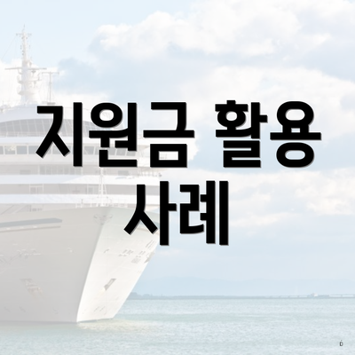 지원금 활용 사례