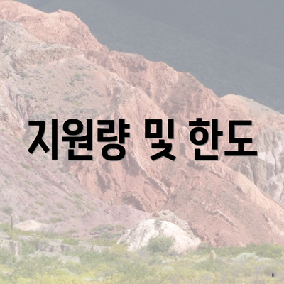 지원량 및 한도