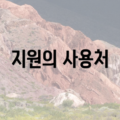 지원의 사용처