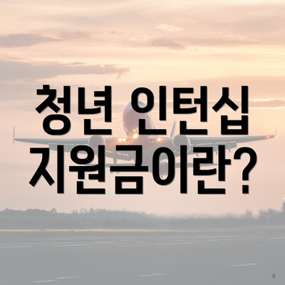 청년 인턴십 지원금이란?