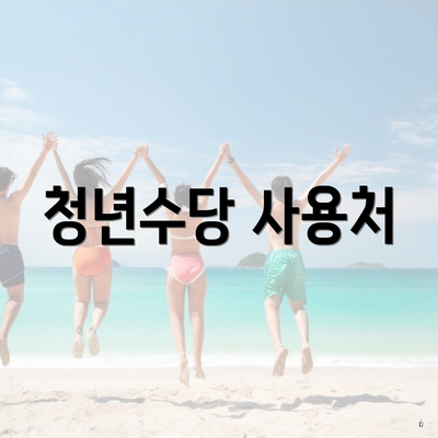 청년수당 사용처