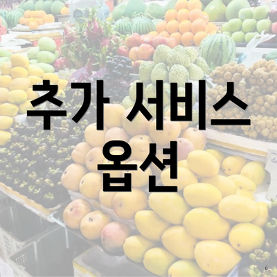 추가 서비스 옵션