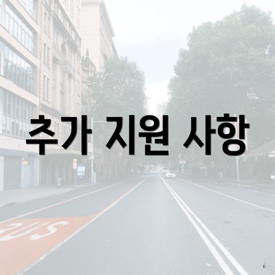 추가 지원 사항