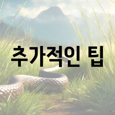 추가적인 팁
