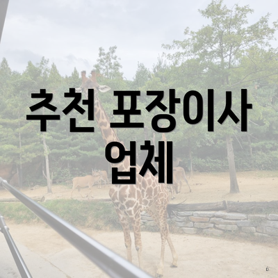 추천 포장이사 업체