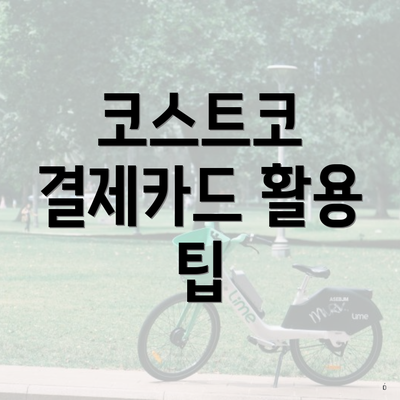 코스트코 결제카드 활용 팁
