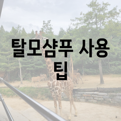 탈모샴푸 사용 팁