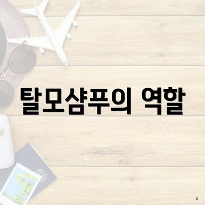 탈모샴푸의 역할