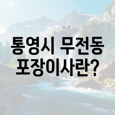 통영시 무전동 포장이사란?