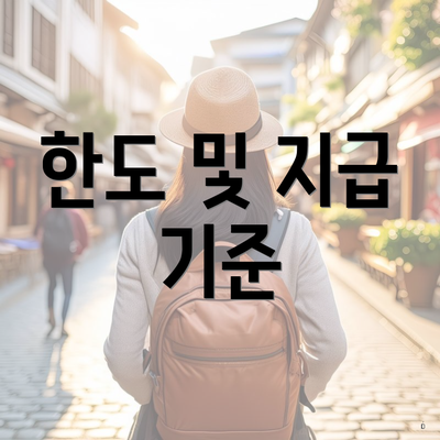 한도 및 지급 기준